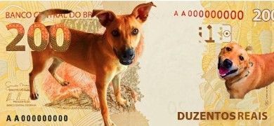 Captura de tela 2025-10-17 155159.jpg